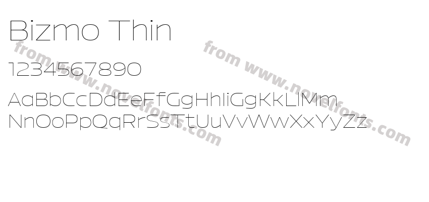 Bizmo ThinPreview