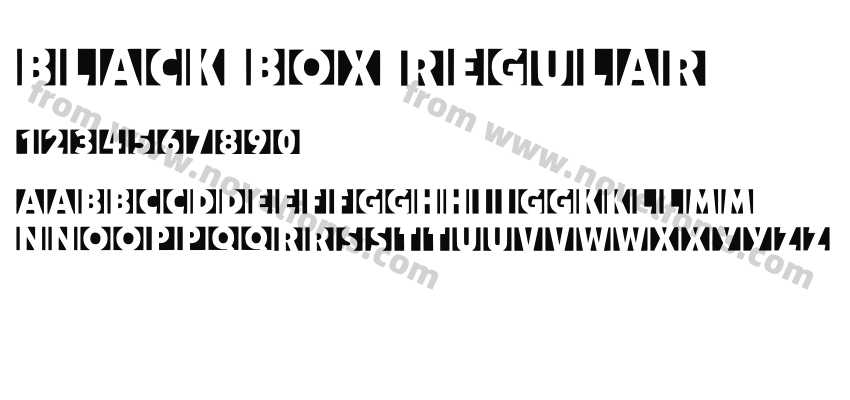 Black Box RegularPreview