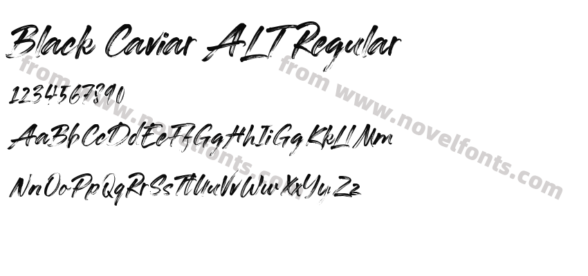 Black Caviar ALT RegularPreview