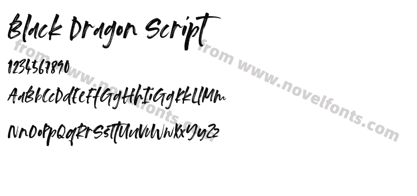 Black Dragon ScriptPreview