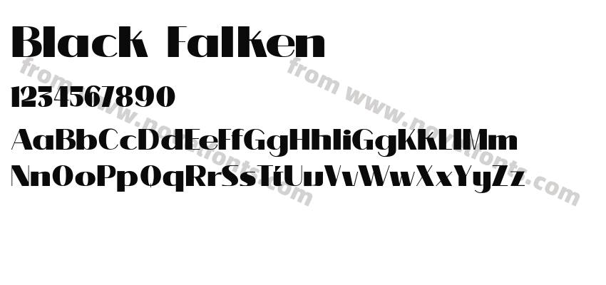 Black FalkenPreview