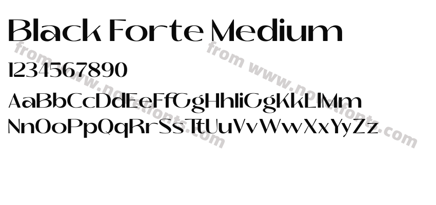 Black Forte MediumPreview