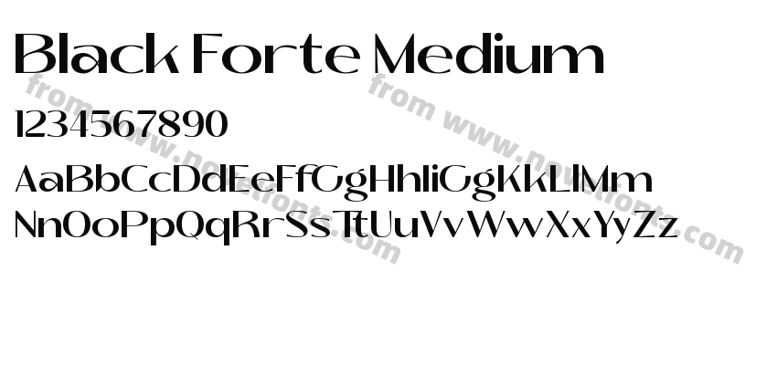 Black Forte MediumPreview
