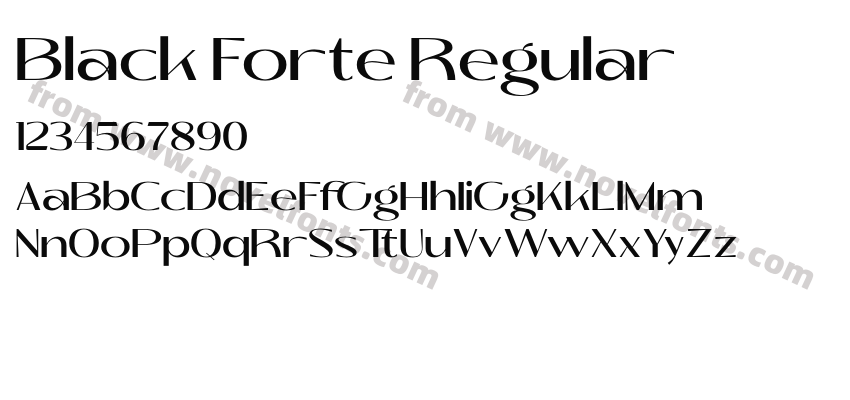Black Forte RegularPreview