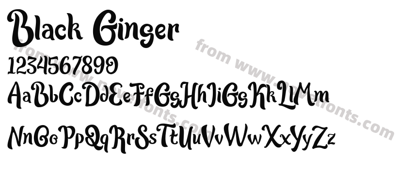 Black GingerPreview