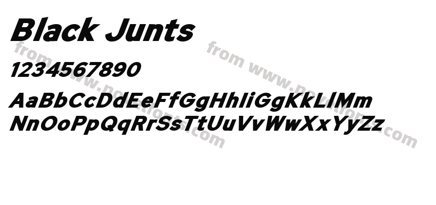 Black JuntsPreview