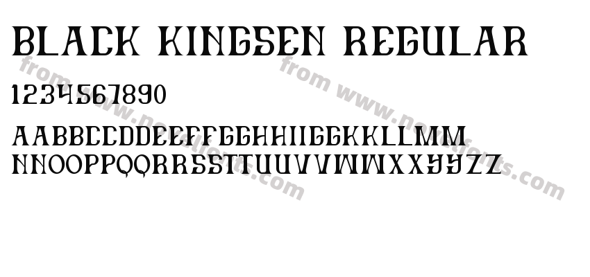 Black Kingsen RegularPreview