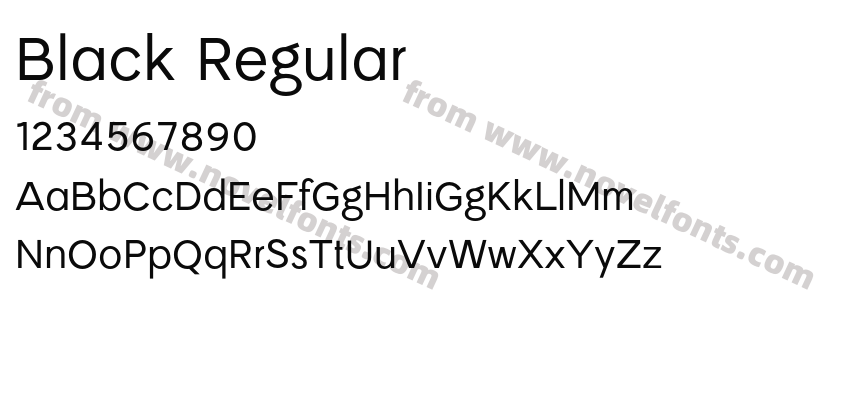 Black RegularPreview