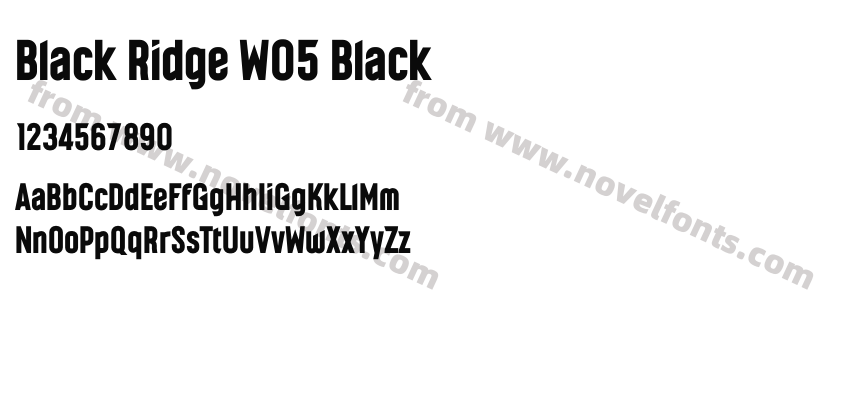Black Ridge W05 BlackPreview