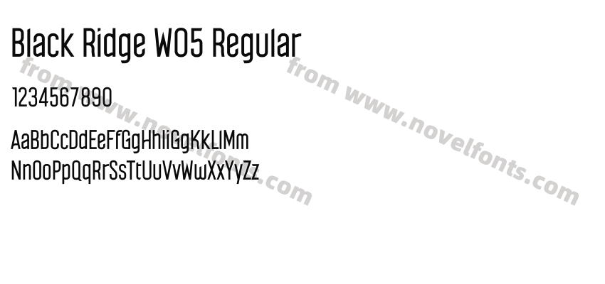 Black Ridge W05 RegularPreview