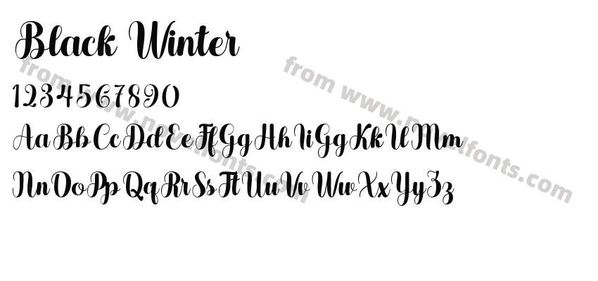 Black WinterPreview
