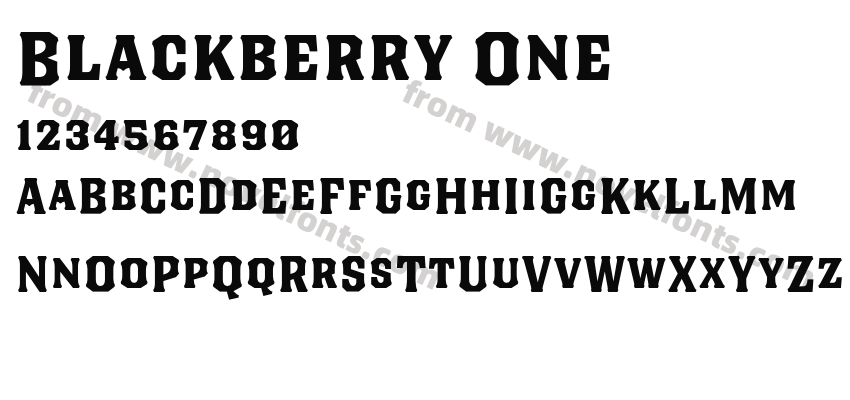 Blackberry OnePreview