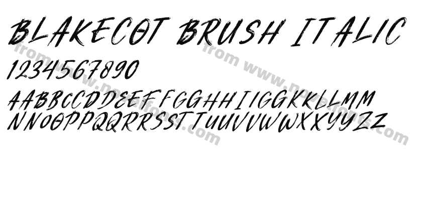 Blakecot Brush ItalicPreview