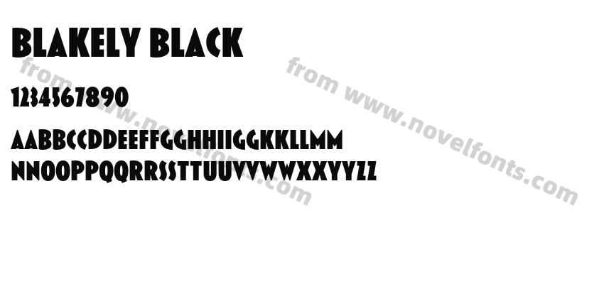 Blakely BlackPreview