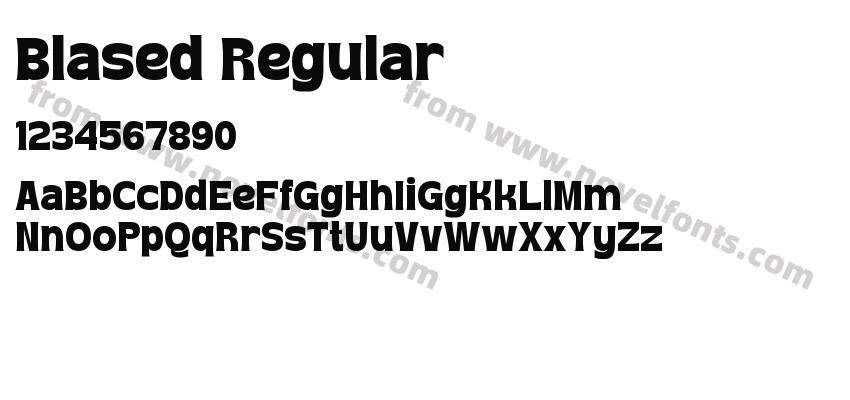 Blased RegularPreview