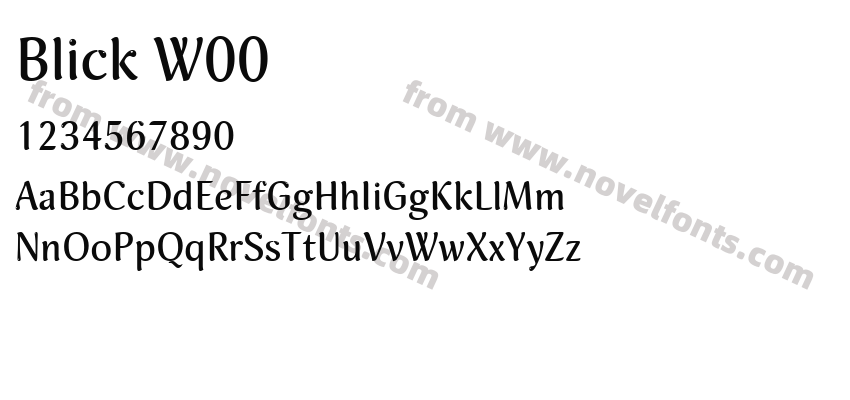 Blick W00Preview