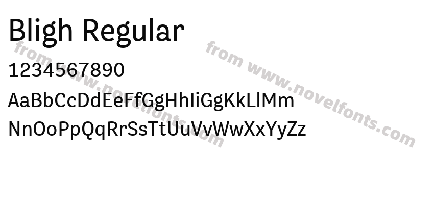 Bligh RegularPreview