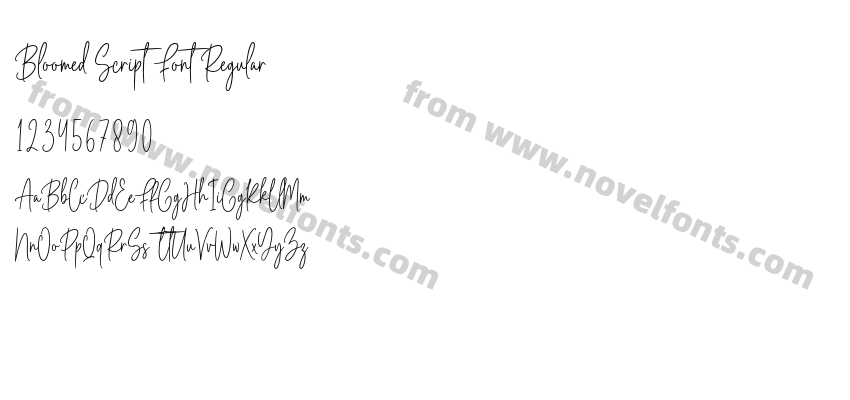 Bloomed Script Font RegularPreview