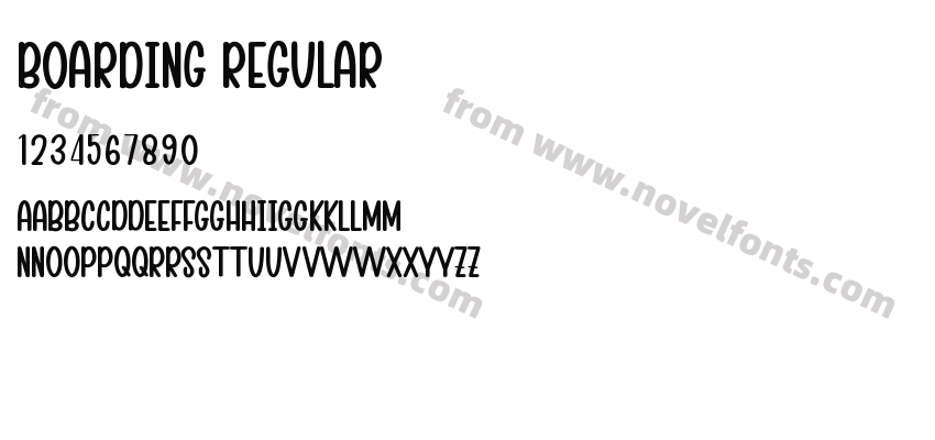 Boarding RegularPreview