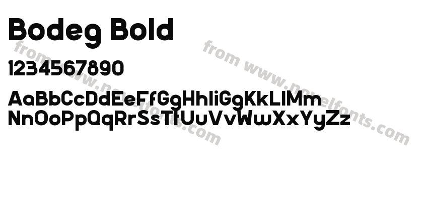 Bodeg BoldPreview