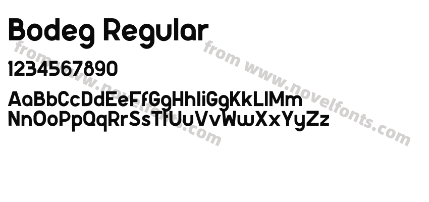 Bodeg RegularPreview