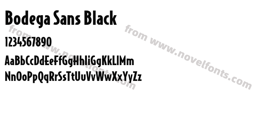 Bodega Sans BlackPreview