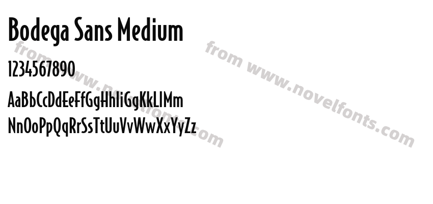 Bodega Sans MediumPreview