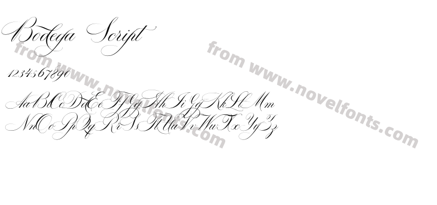 Bodega ScriptPreview