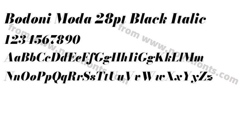 Bodoni Moda 28pt Black ItalicPreview
