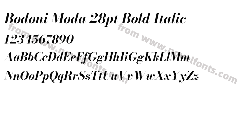 Bodoni Moda 28pt Bold ItalicPreview