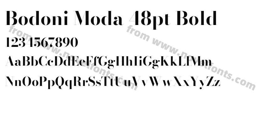 Bodoni Moda 48pt BoldPreview