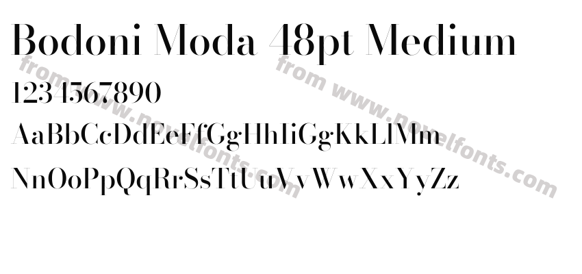 Bodoni Moda 48pt MediumPreview
