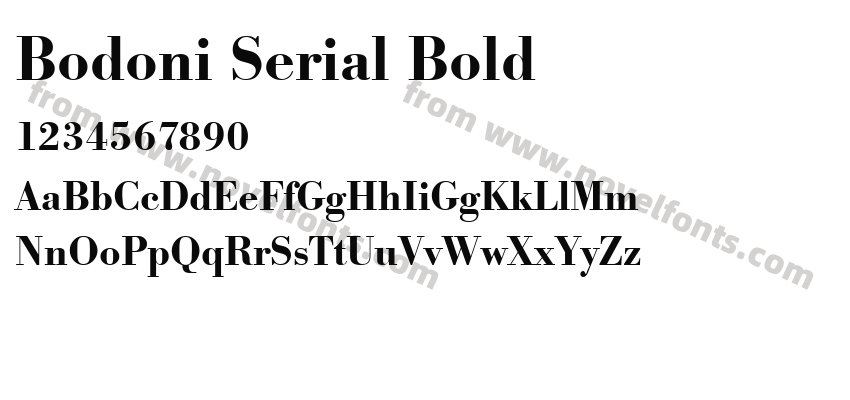 Bodoni Serial BoldPreview