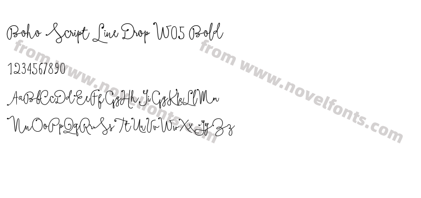 Boho Script Line Drop W05 BoldPreview