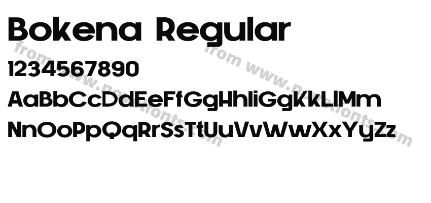 Bokena RegularPreview