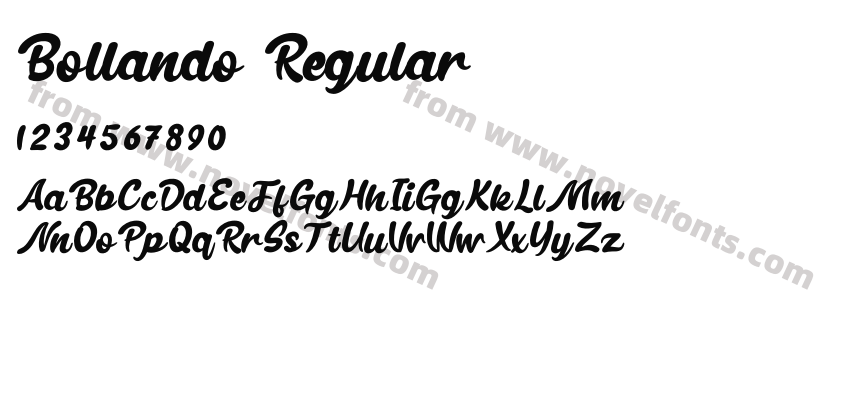 Bollando RegularPreview