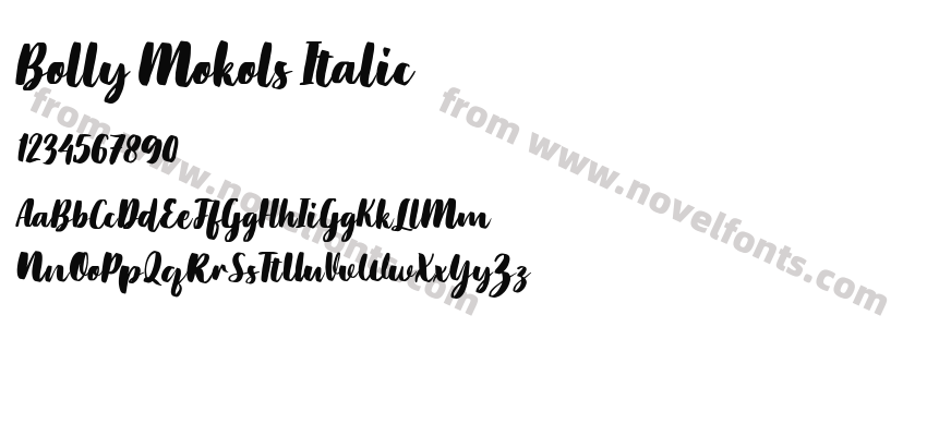 Bolly Mokols ItalicPreview
