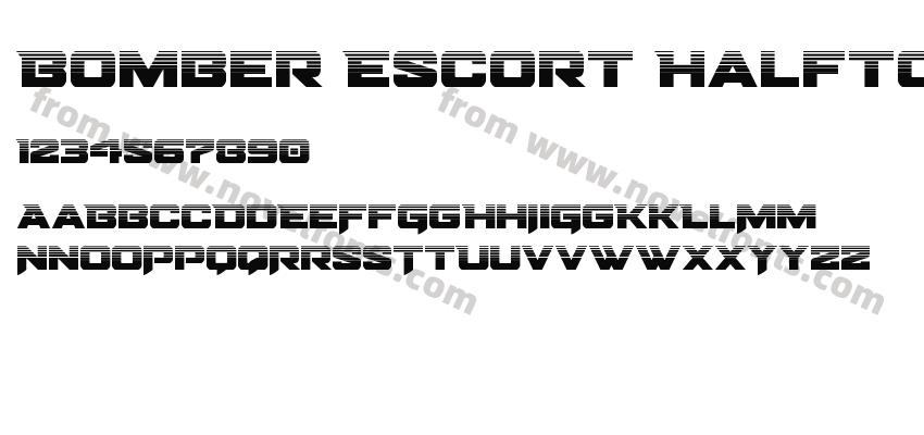 Bomber Escort HalftonePreview