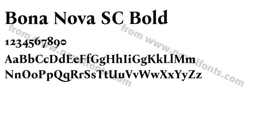 Bona Nova SC BoldPreview