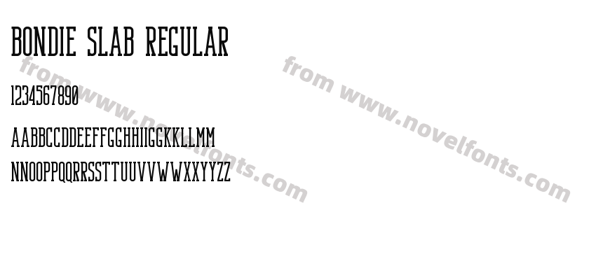 Bondie Slab RegularPreview