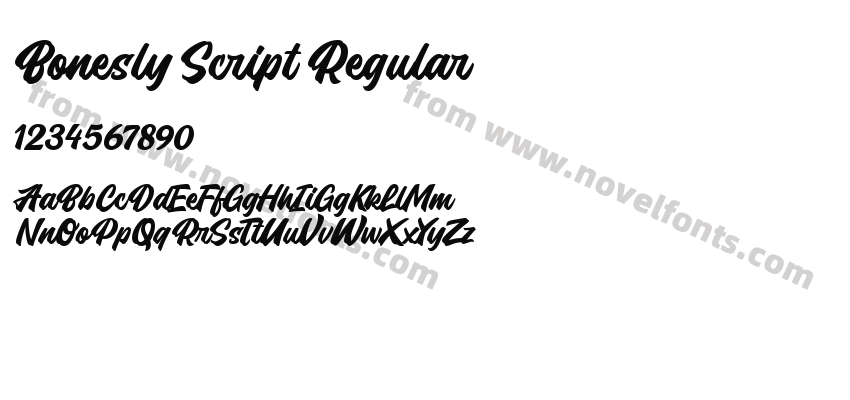 Bonesly Script RegularPreview