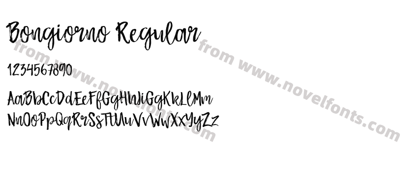 Bongiorno RegularPreview