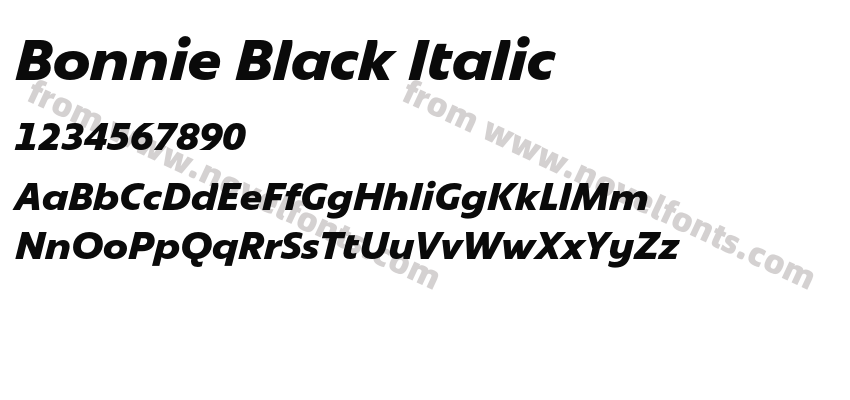 Bonnie Black ItalicPreview
