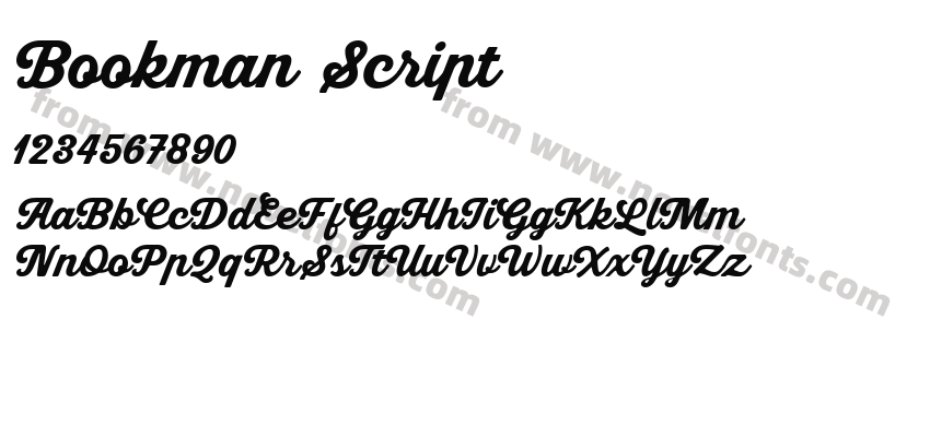 Bookman ScriptPreview