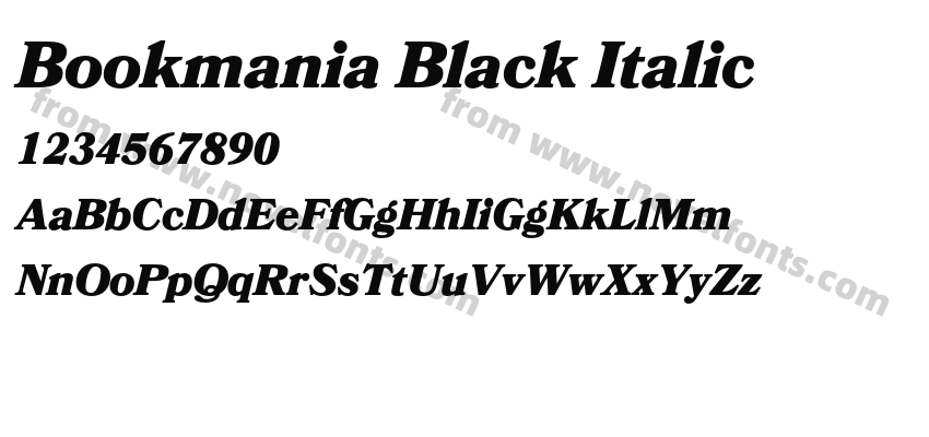 Bookmania Black ItalicPreview