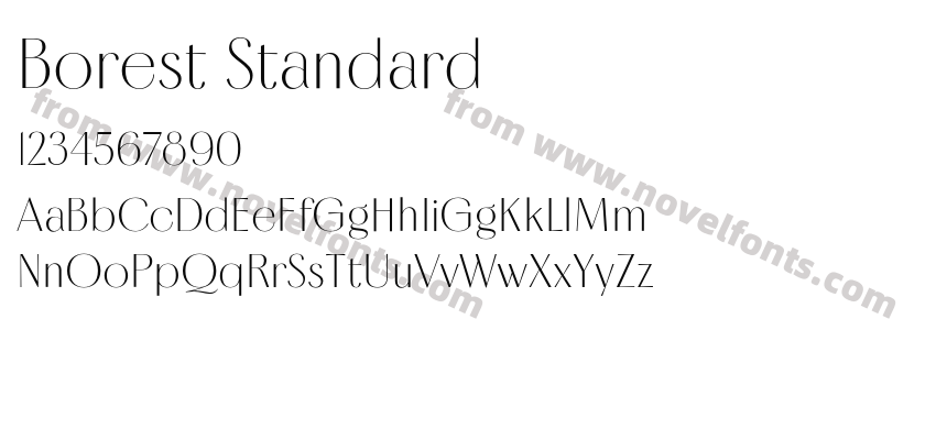 Borest StandardPreview