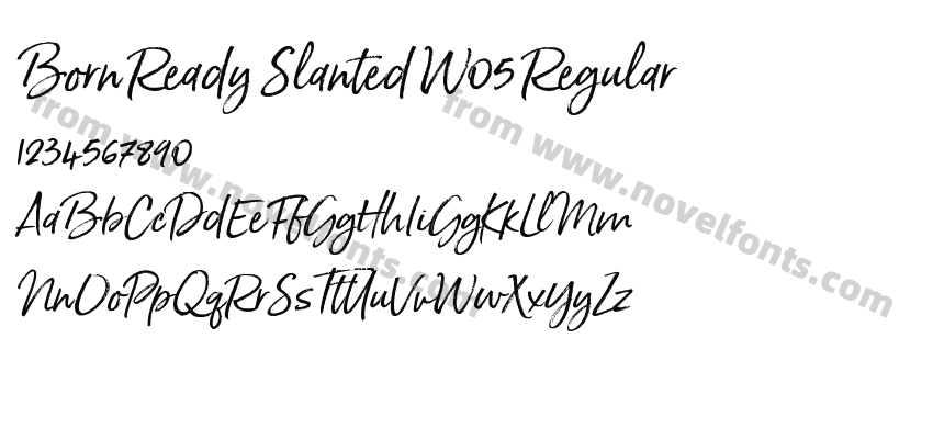 Born Ready Slanted W05 RegularPreview