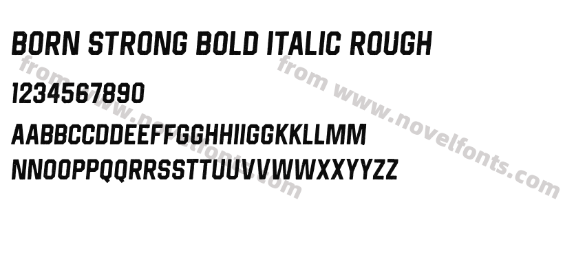 Born Strong Bold Italic RoughPreview