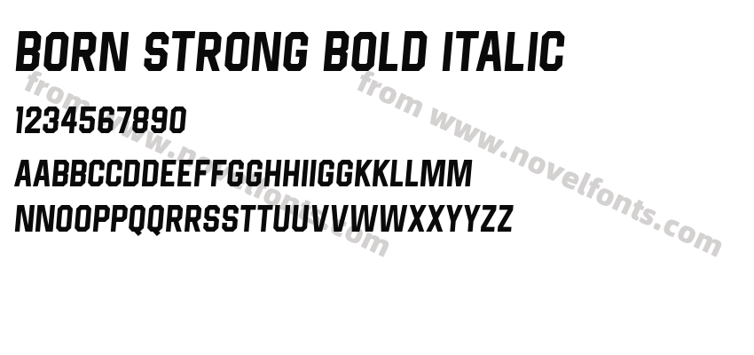 Born Strong Bold ItalicPreview