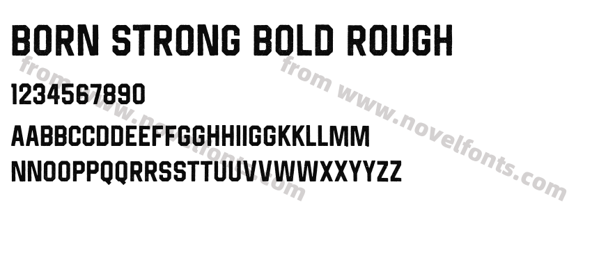 Born Strong Bold RoughPreview